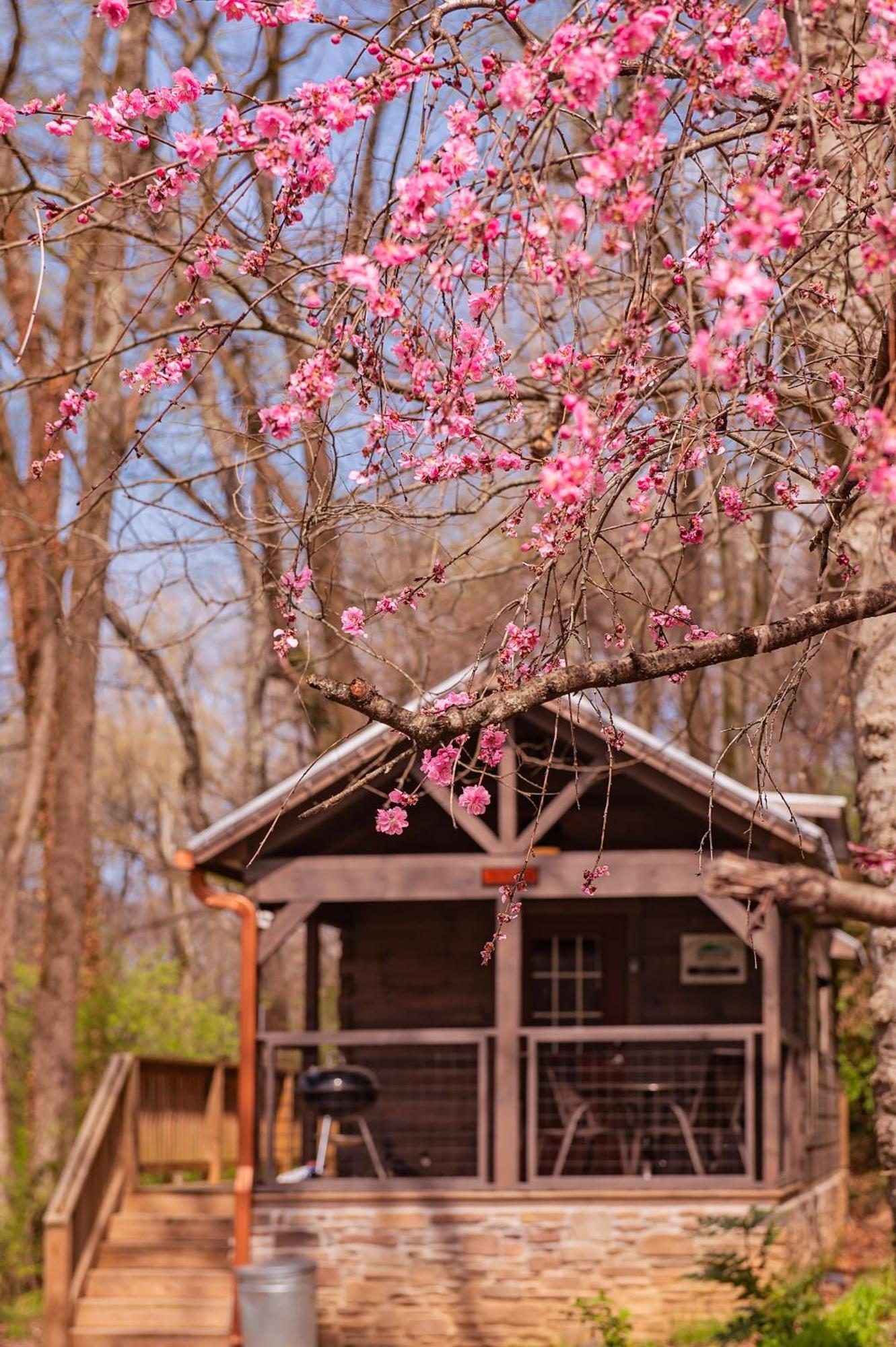 Ryon Tiny Home Cabin City-Side Rustic Retreat 채터누가 외부 사진